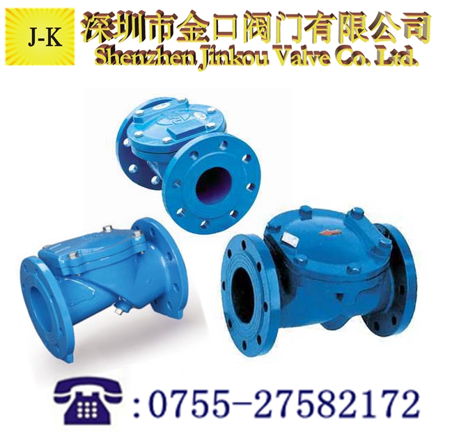 橡胶瓣止回阀