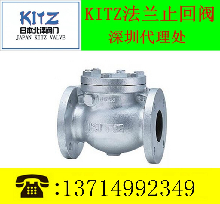 KITZ铸铁止回阀