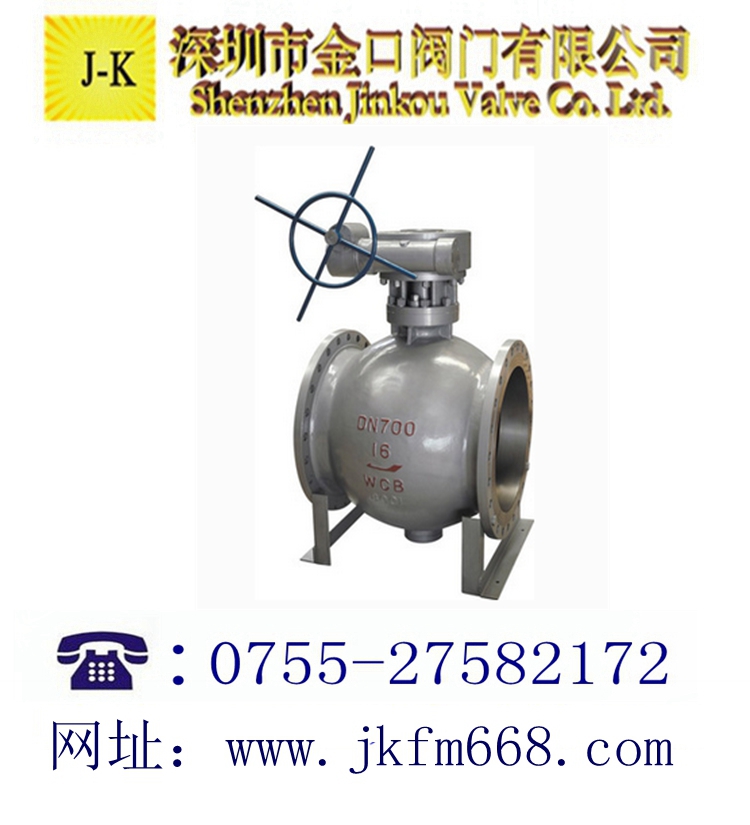 蜗轮侧装式偏心半球阀